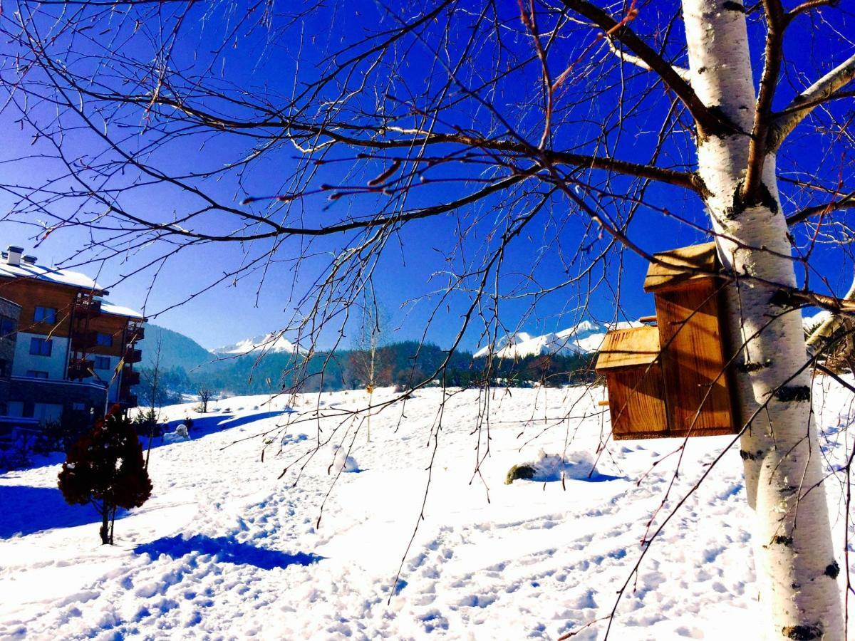 St. John Hill Bansko Lejlighed Eksteriør billede
